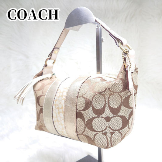 COACH Accessory Pouch Hand Bag Tote Purse Signature Authentic
