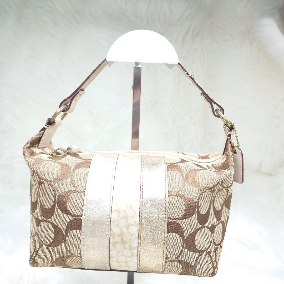 COACH Accessory Pouch Hand Bag Tote Purse Signature Authentic