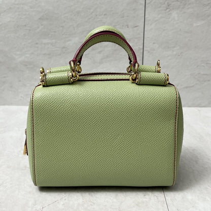 Dolce & Gabbana Hand Shoulder Bag Tote Purse 2way Leopard Leather Green Auth
