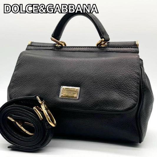 Dolce & Gabbana Shoulder Bag Purse 2way Leopard Leather Black Authentic