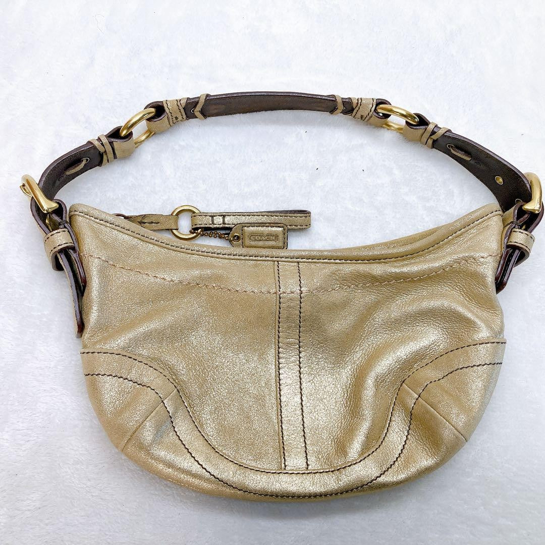 COACH Accessory Pouch Hand Bag Tote Purse 3685 Champagne Gold Authentic