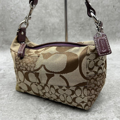 COACH Accessory Pouch Hand Bag Tote Purse Signature Canvas Leather Brown Auth