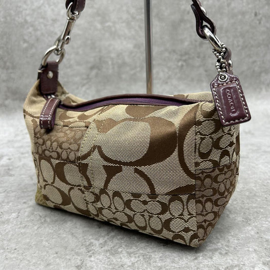 COACH Accessory Pouch Hand Bag Tote Purse Signature Canvas Leather Brown Auth