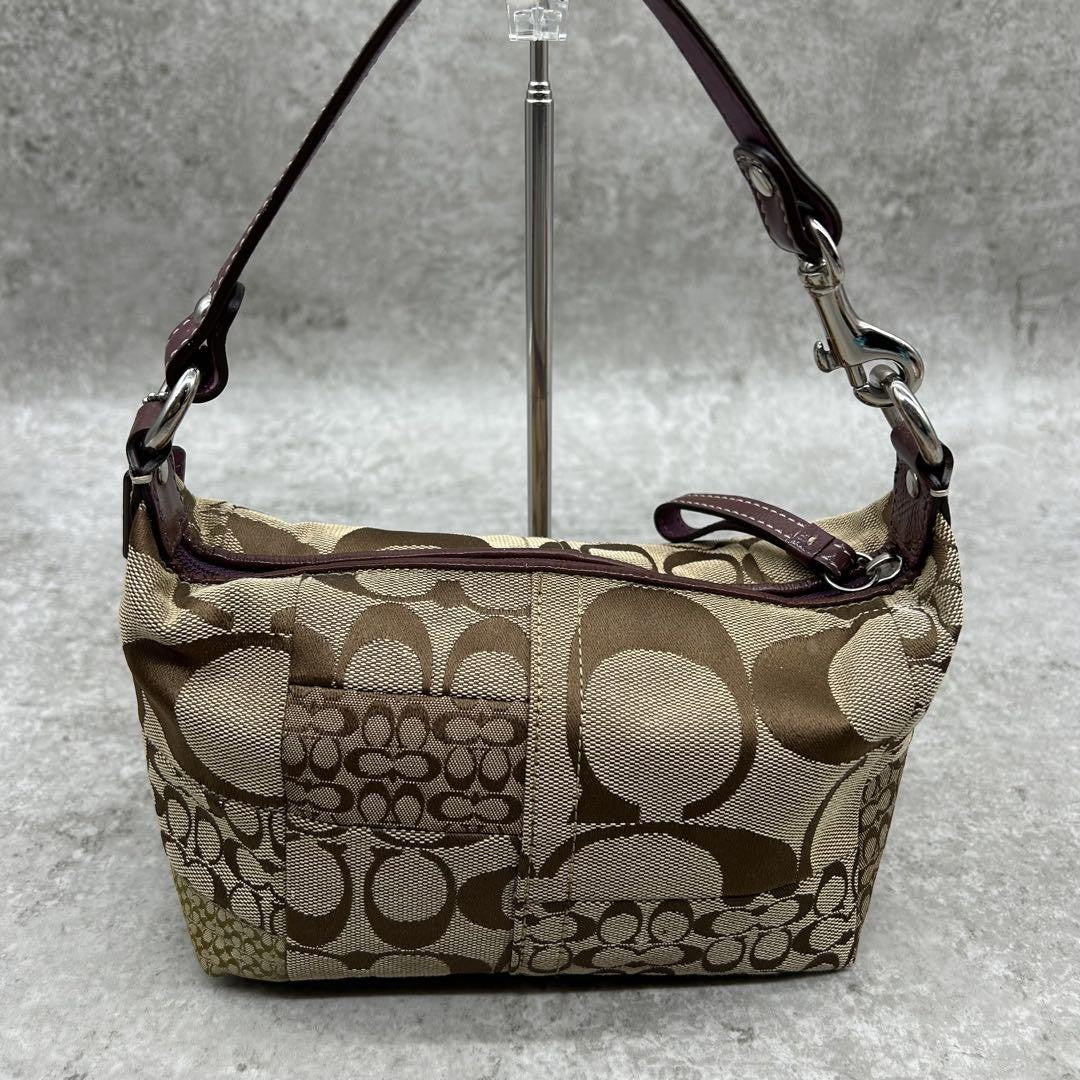 COACH Accessory Pouch Hand Bag Tote Purse Signature Canvas Leather Brown Auth