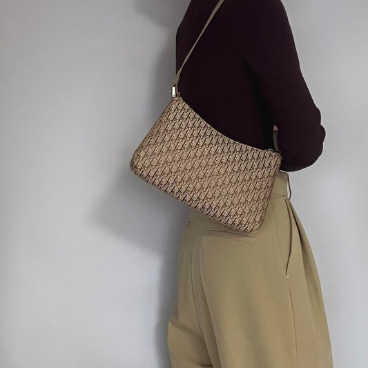 Christian Dior Handbag Trotter Accessory Pouch Shoulder Purse Canvas Beige Auth