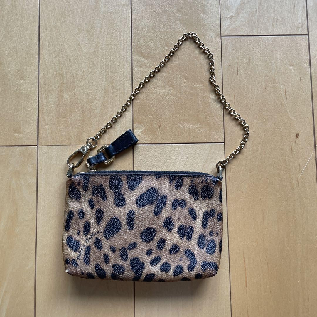 Dolce & Gabbana Accessory Pouch Hand Pouch Leopard Leather Authentic