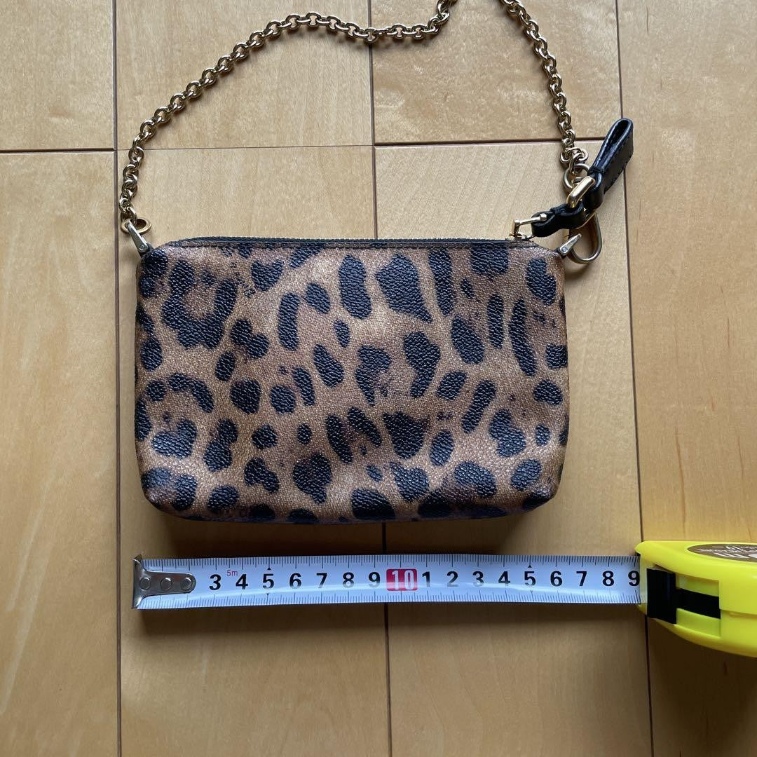 Dolce & Gabbana Accessory Pouch Hand Pouch Leopard Leather Authentic