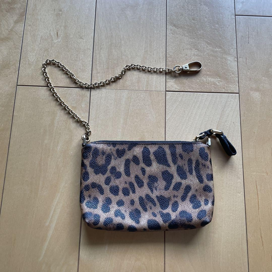 Dolce & Gabbana Accessory Pouch Hand Pouch Leopard Leather Authentic