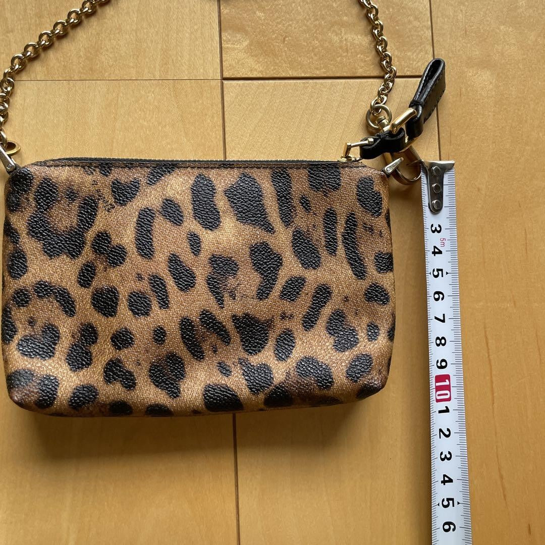 Dolce & Gabbana Accessory Pouch Hand Pouch Leopard Leather Authentic