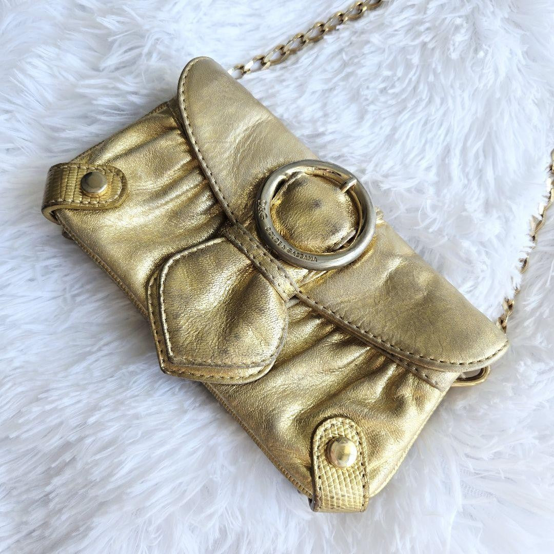 Dolce & Gabbana Accessory Pouch Hand Pouch Leather Canvas Gold Authentic