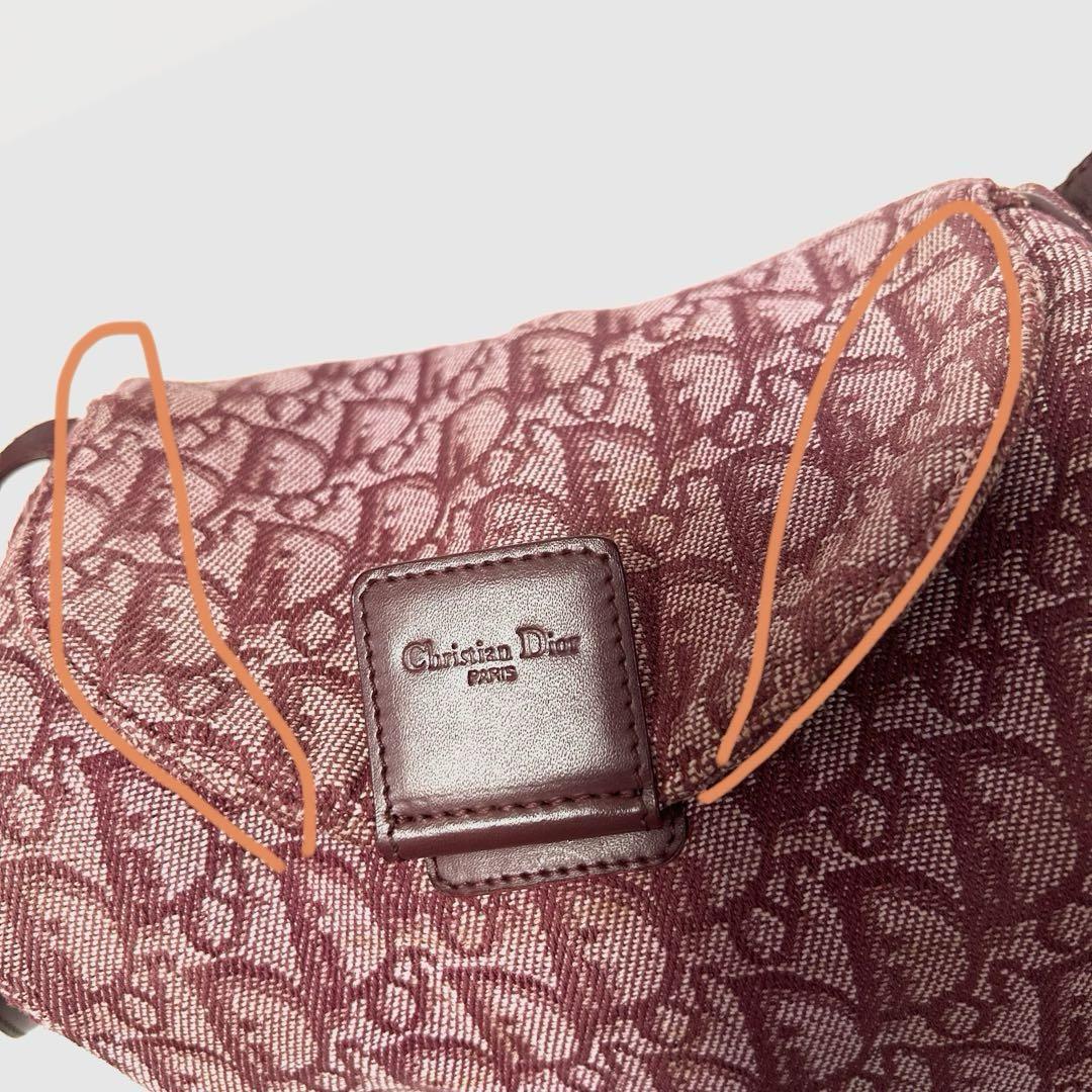 Christian Dior Hand Bag Tote Purse Trotter Canvas Leather Pink Authentic
