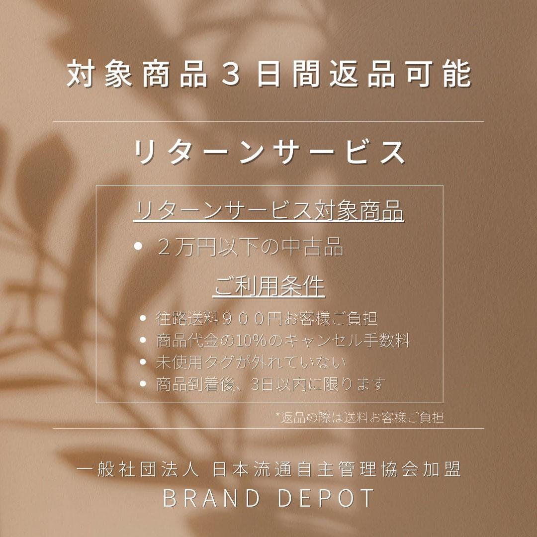 Christian Dior Clutch Bag Second Bag Trotter Brown Authentic