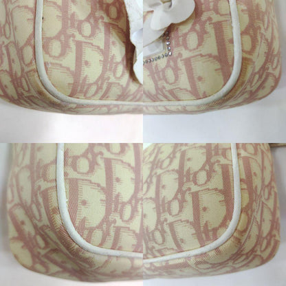 Christian Dior Shoulder Bag Purse Trotter No.1 Canvas Leather Authentic