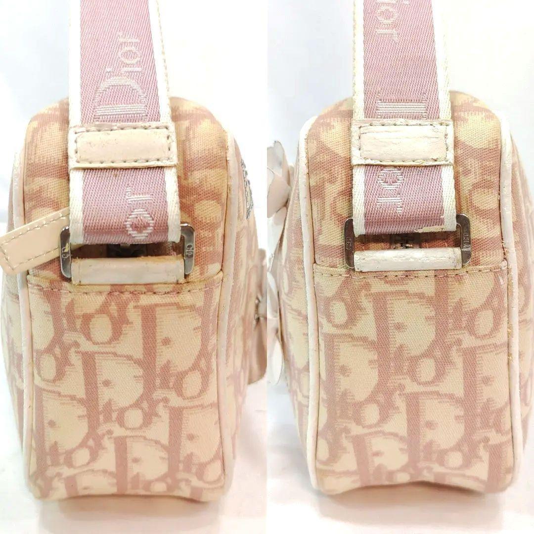 Christian Dior Shoulder Bag Purse Trotter No.1 Canvas Leather Authentic