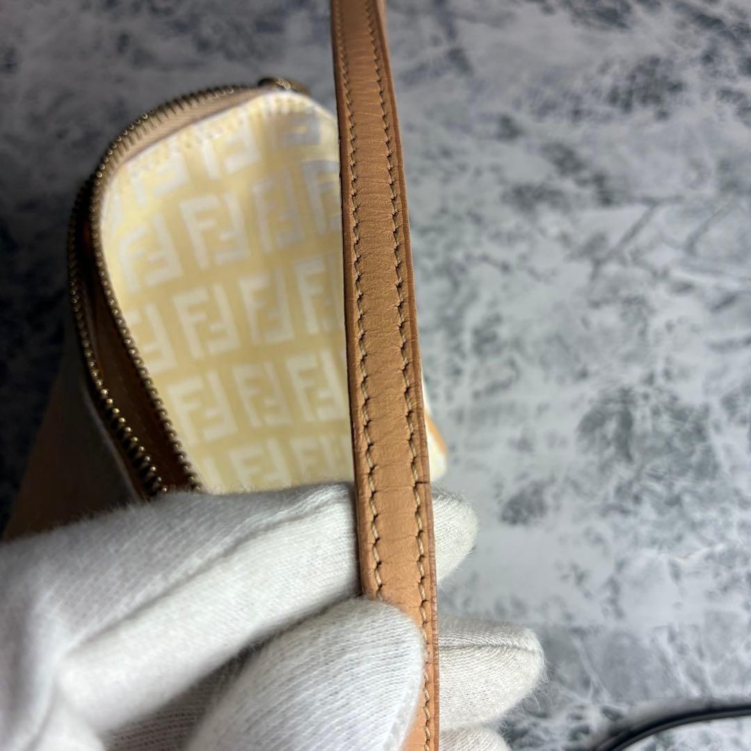 FENDI Mini Bag Accessory Pouch Hand Pouch FF Zucca Zucchino Authentic