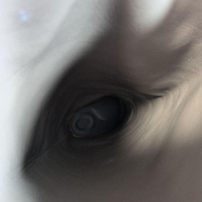 Christian Dior Long Boots Shoes EU 36.5 US 6.5 Suede Beige Authentic