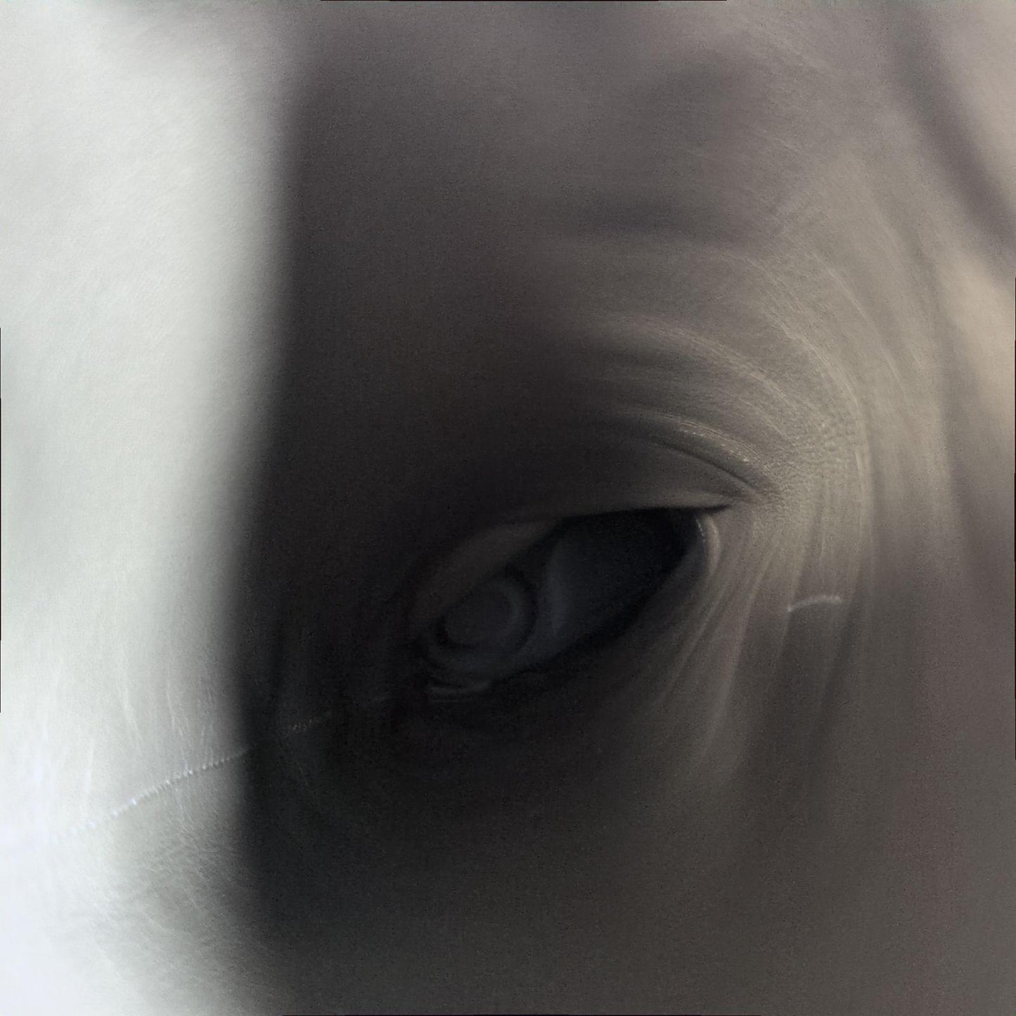 Christian Dior Long Boots Shoes EU 36.5 US 6.5 Suede Beige Authentic