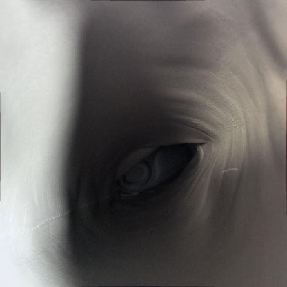 Christian Dior Long Boots Shoes EU 36.5 US 6.5 Suede Beige Authentic