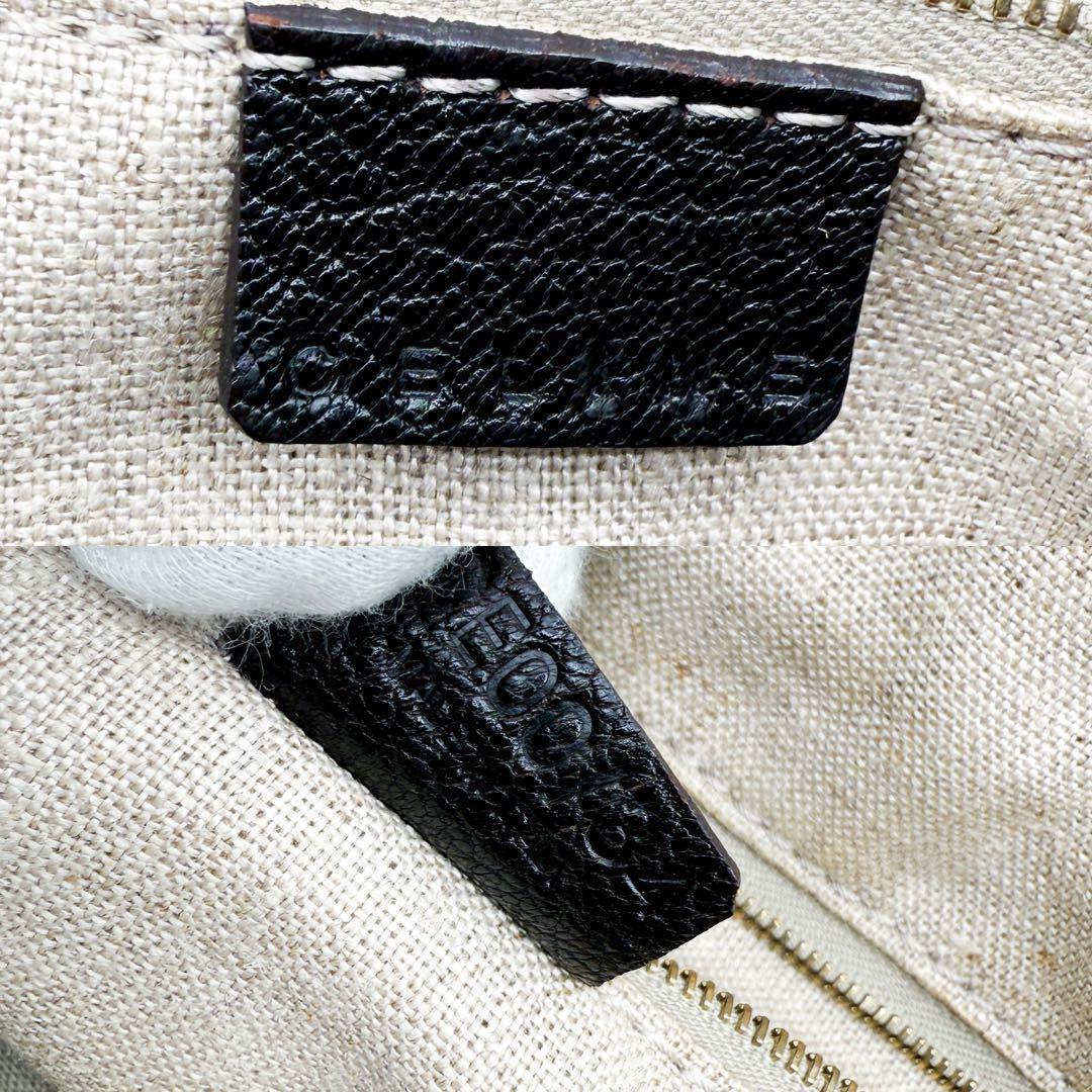 CELINE Hand Bag Tote Purse botanical Triomphe Canvas Leather Multicolor Auth