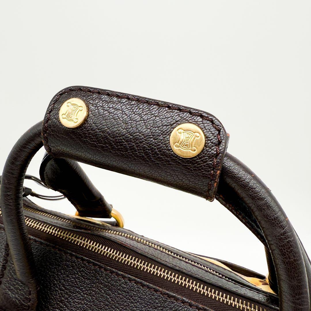 CELINE Hand Bag Tote Purse botanical Triomphe Canvas Leather Multicolor Auth