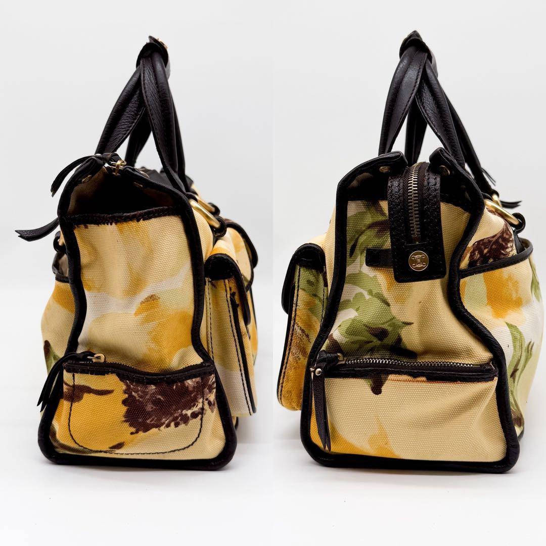 CELINE Hand Bag Tote Purse botanical Triomphe Canvas Leather Multicolor Auth