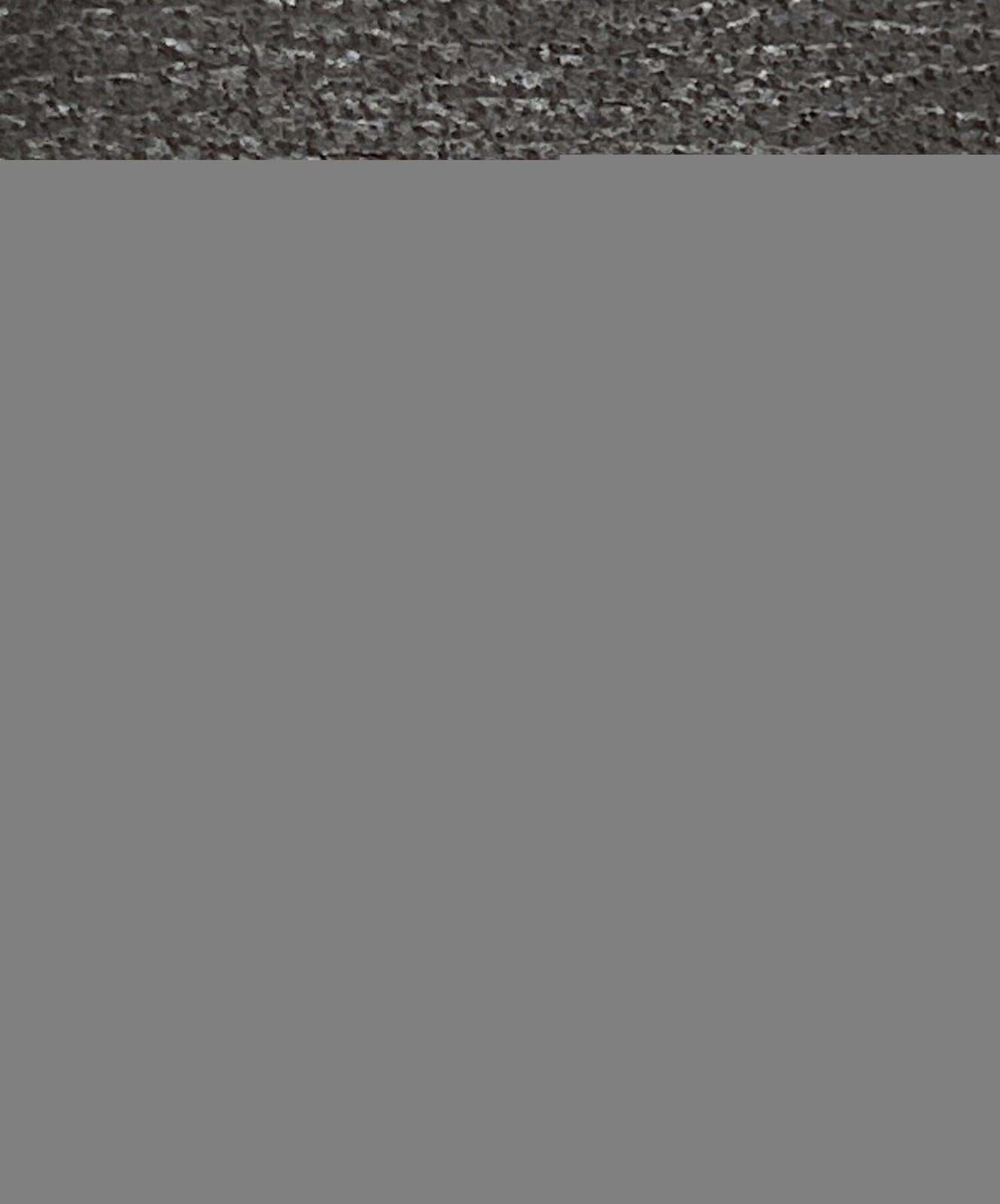 CELINE Men's Belt Horse carriage Authentic