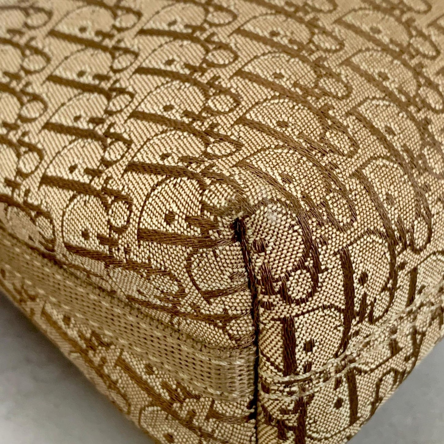 Christian Dior Handbag Trotter Accessory Pouch Shoulder Purse Canvas Beige Auth