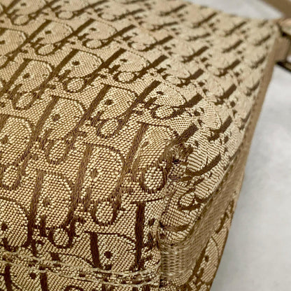 Christian Dior Handbag Trotter Accessory Pouch Shoulder Purse Canvas Beige Auth