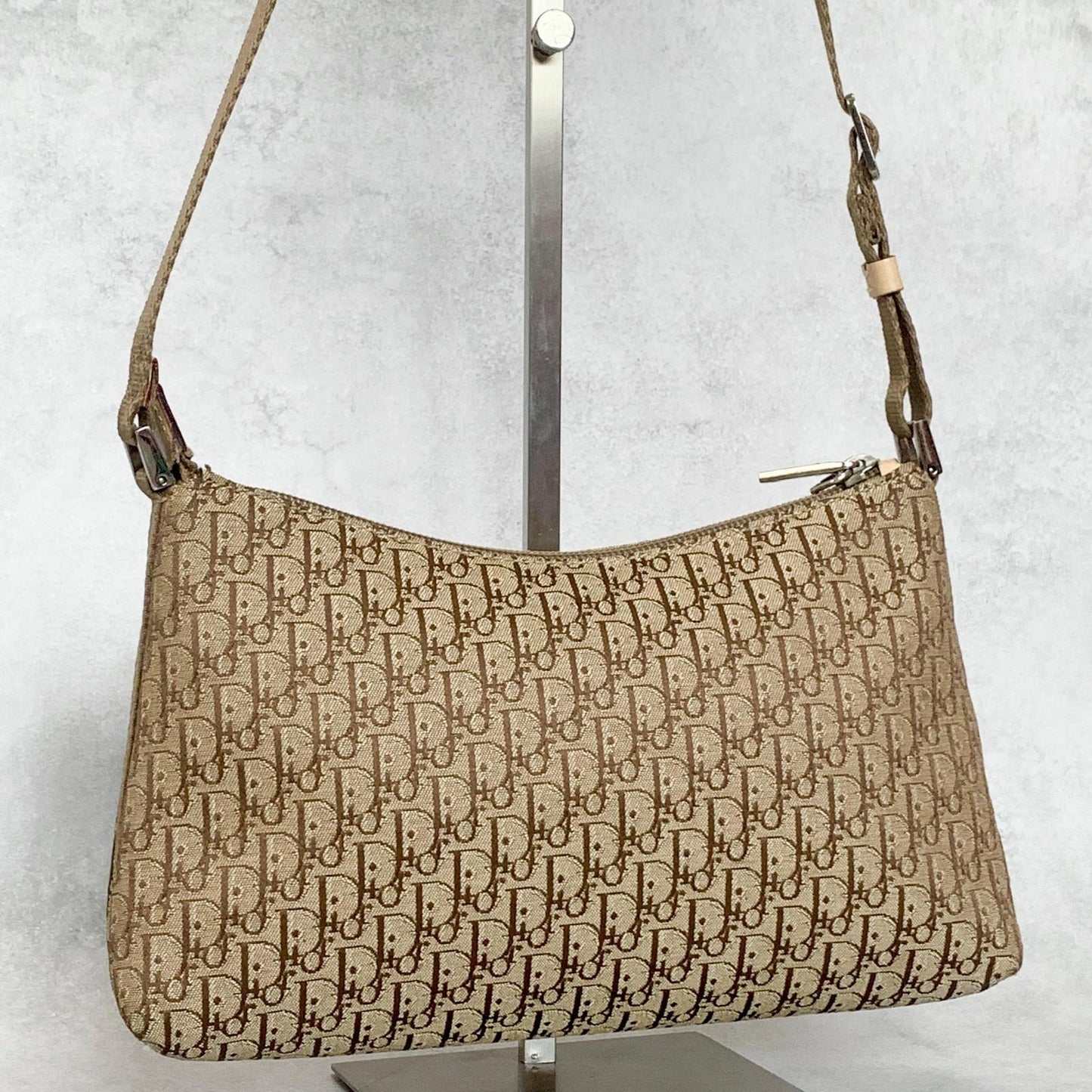 Christian Dior Handbag Trotter Accessory Pouch Shoulder Purse Canvas Beige Auth