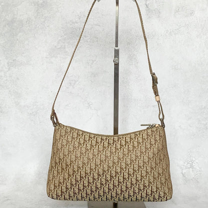 Christian Dior Handbag Trotter Accessory Pouch Shoulder Purse Canvas Beige Auth