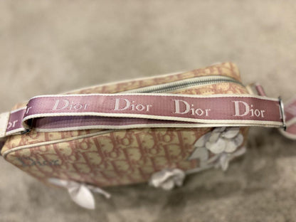Christian Dior Shoulder Bag Purse Trotter No.1 Canvas Pink Authentic