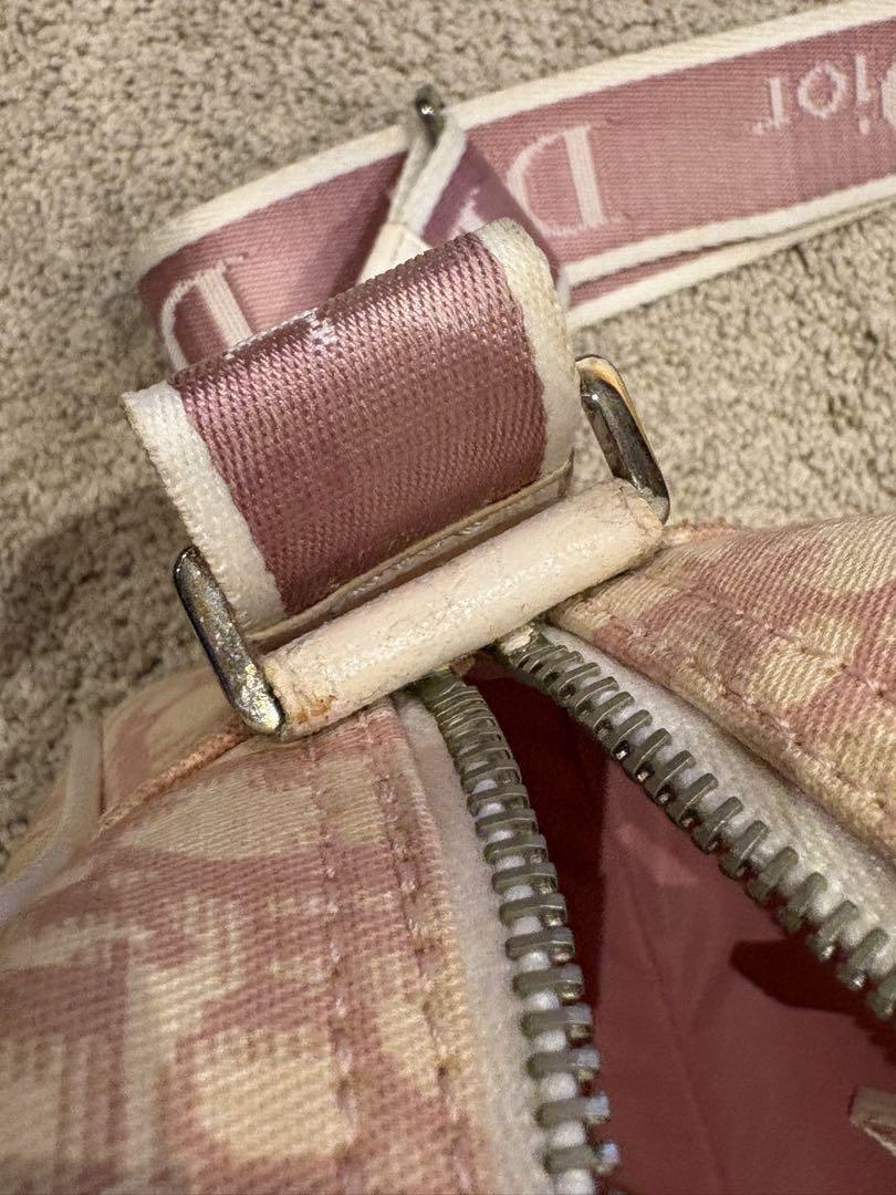 Christian Dior Shoulder Bag Purse Trotter No.1 Canvas Pink Authentic