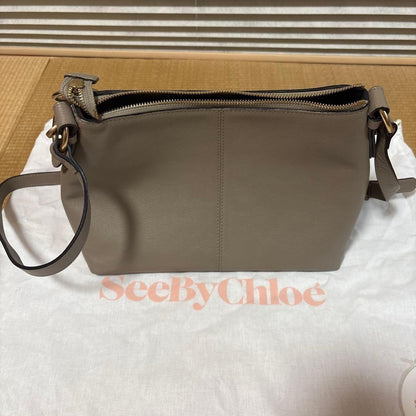 Chloe Hand Shoulder Bag Tote Purse 2way Leather Greige Authentic